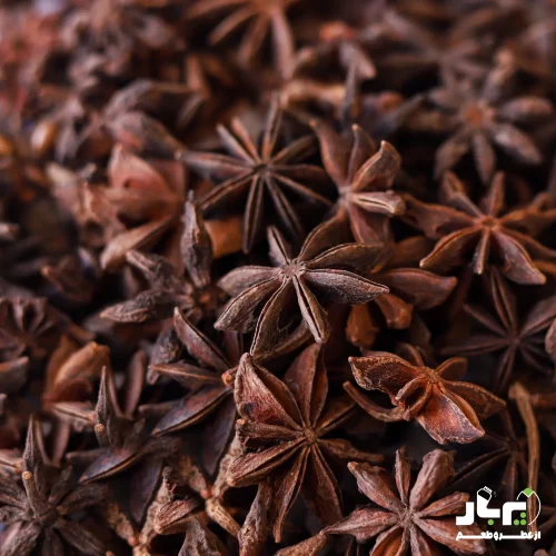 عکس بادیان ستاره ای