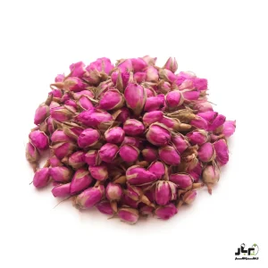 عکس غنچه گل محمدی درجه یک