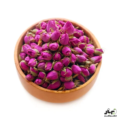 عکس غنچه گل محمدی درجه یک