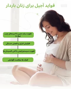 فواید آجیل در دوران بارداری