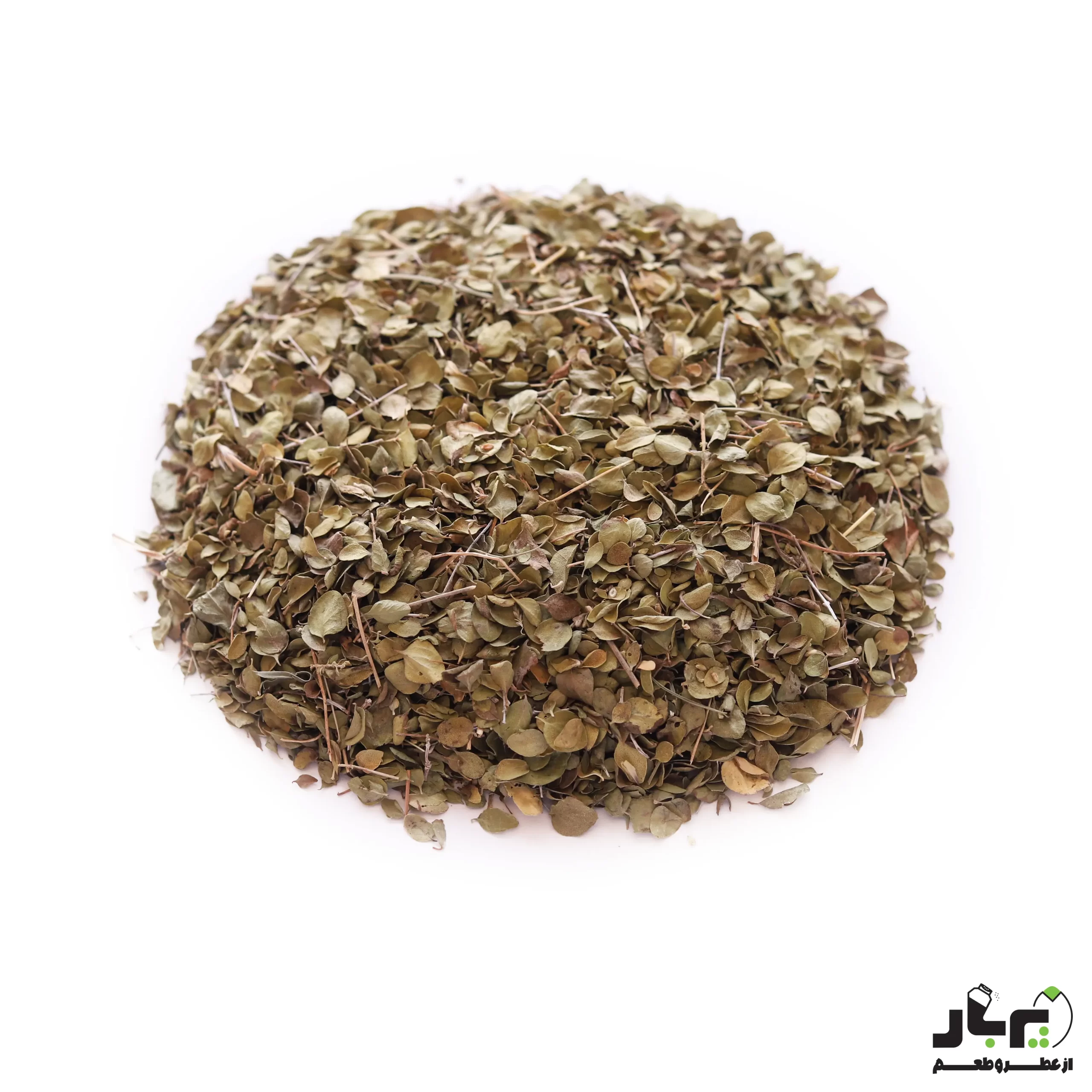 عکس آویشن شیرازی