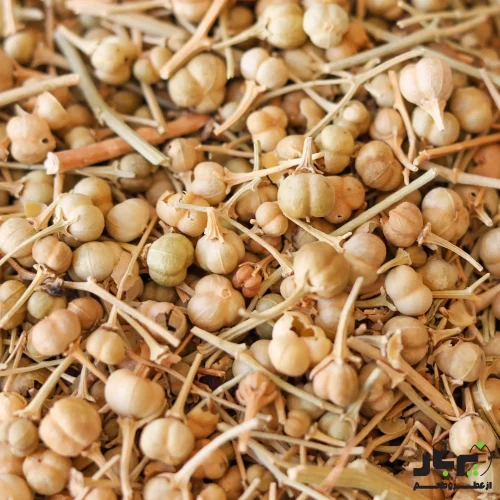 عکس اسپند نخودی