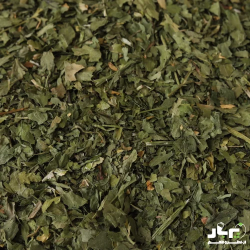 عکس جعفری خشک