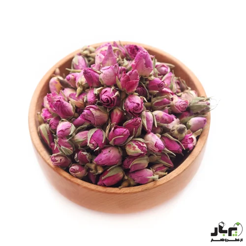 عکس غنچه گل محمدی درجه دو