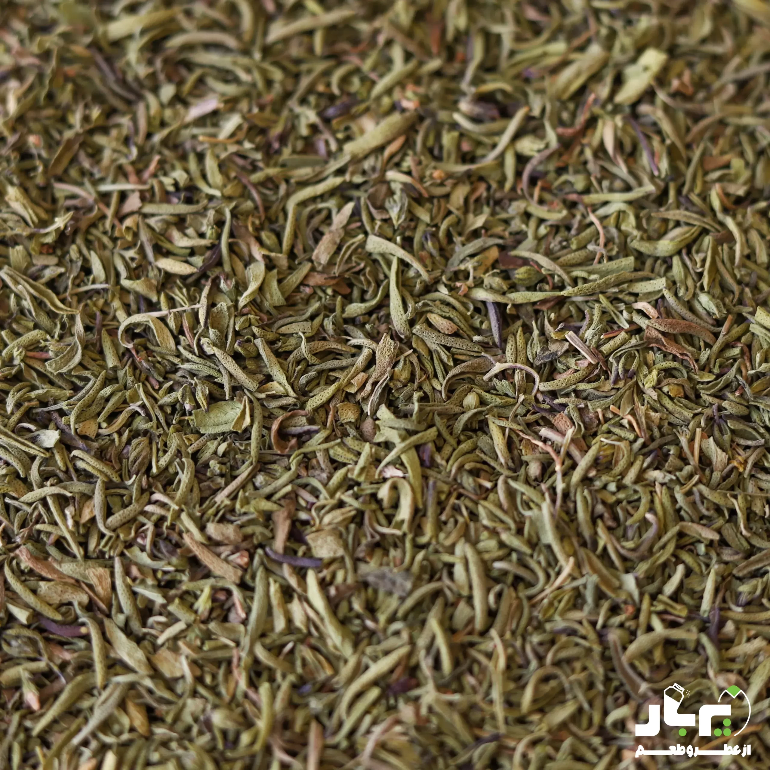 عکس مرزه خشک