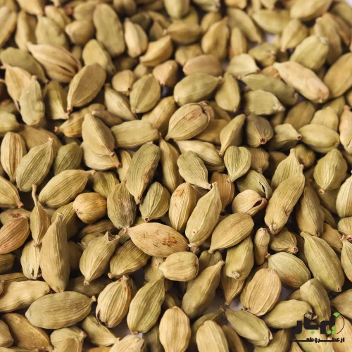 عکس هل اکبر