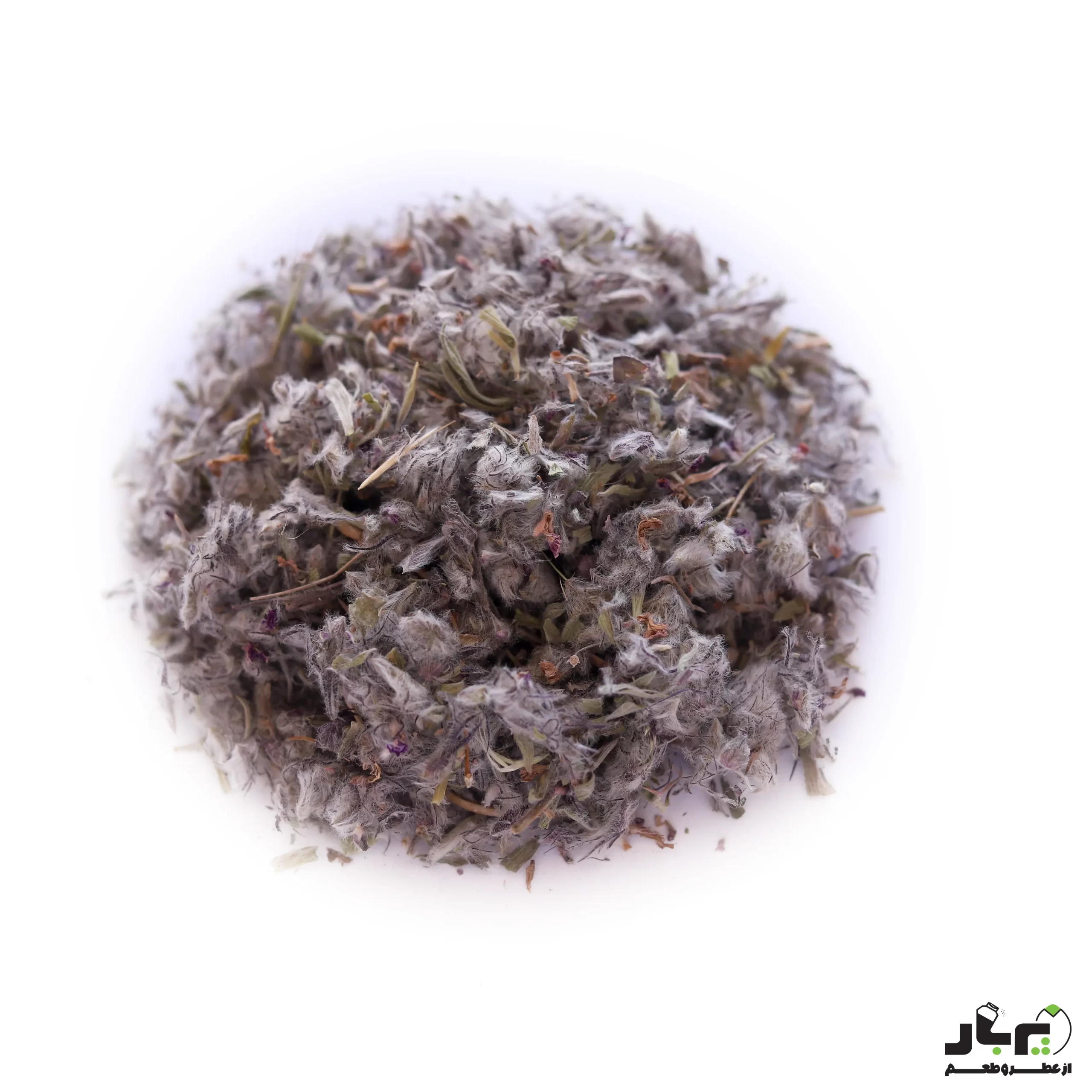 عکس چای کوهی