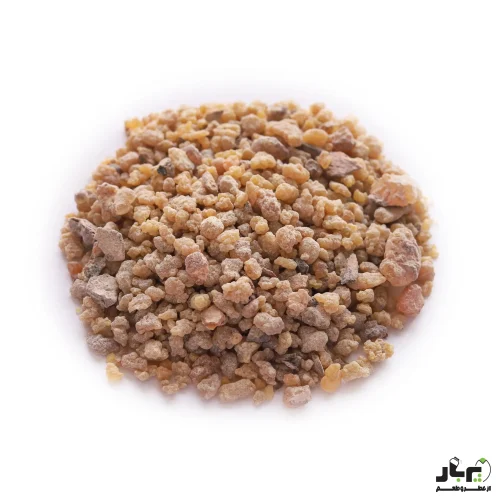 عکس کندور دودی