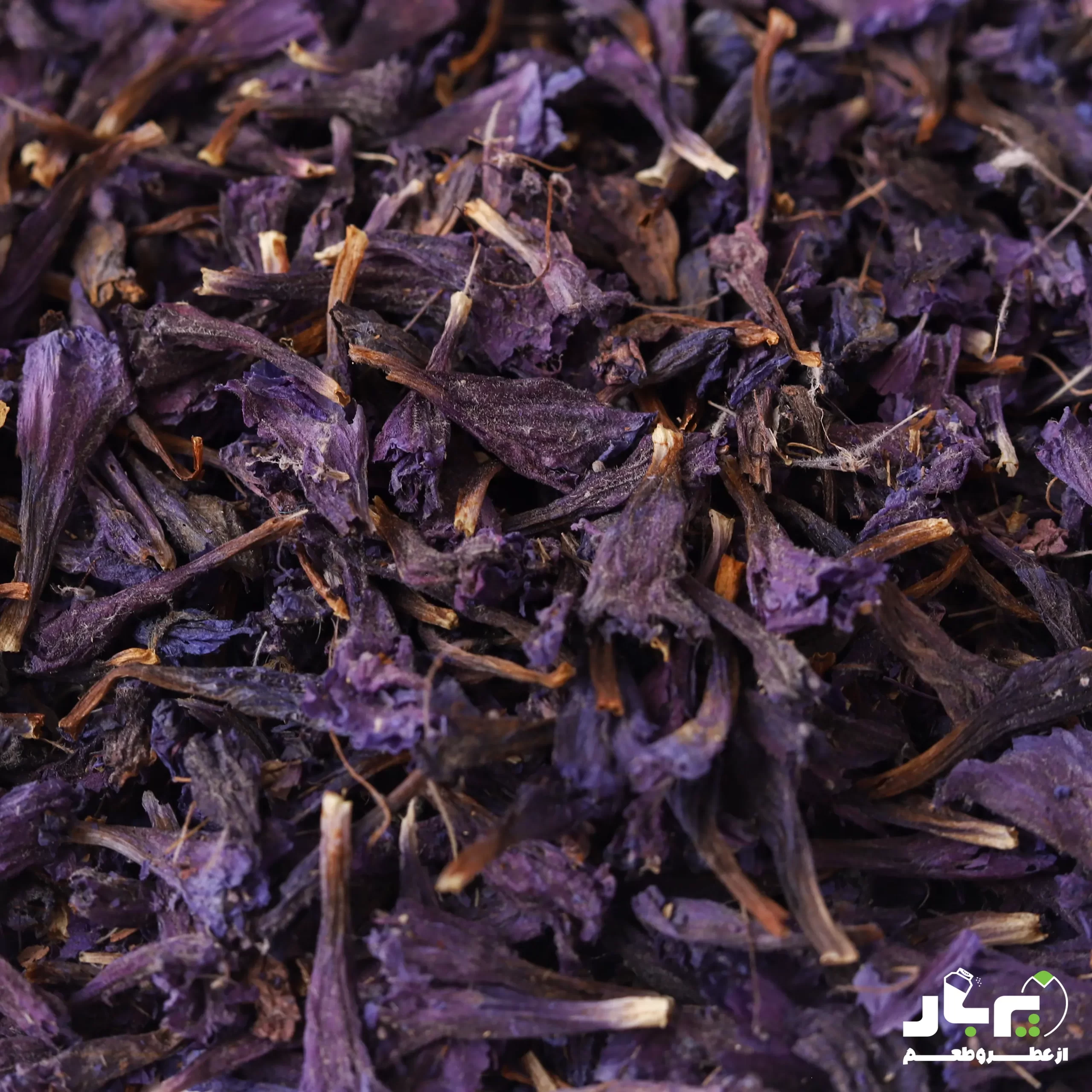 گل گاو زبان