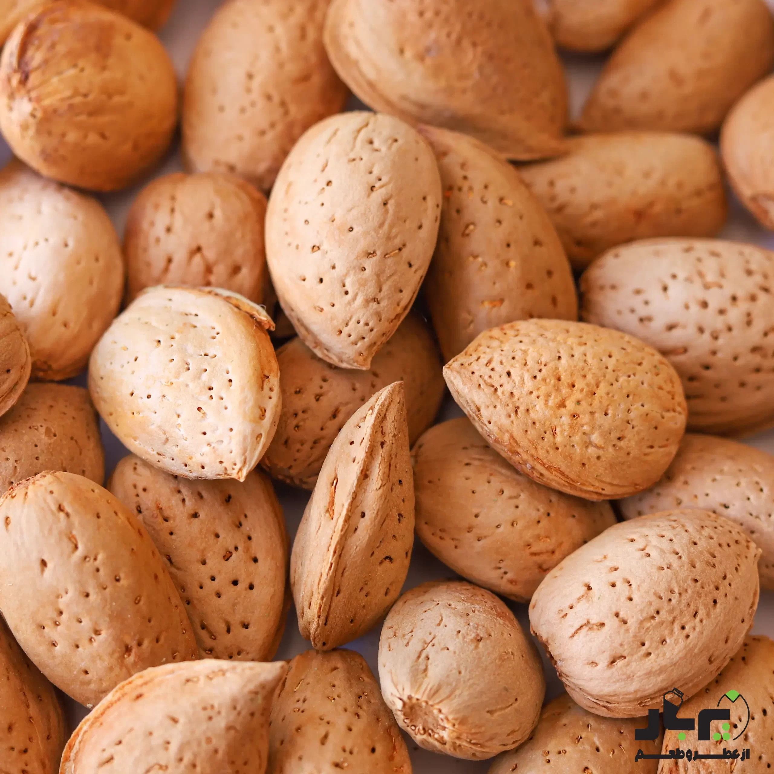 عکس بادام سنگی