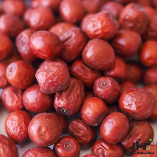 عکس عناب متوسط