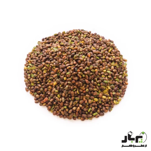 عکس مغز بنه