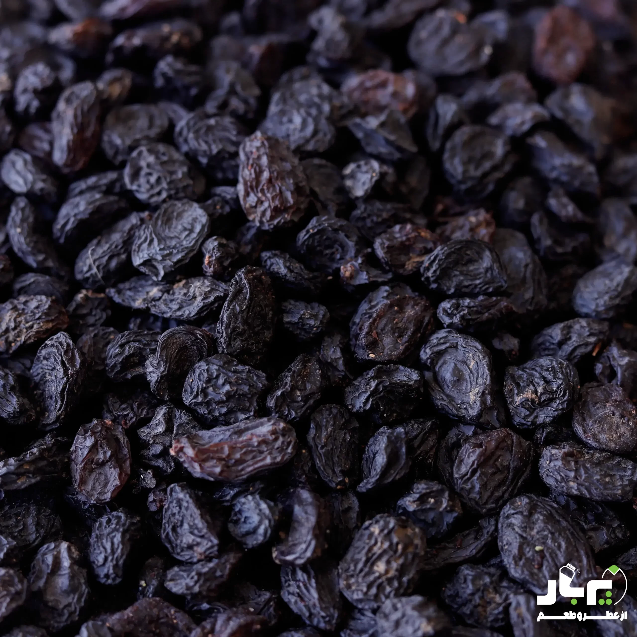 عکس مویز درشت