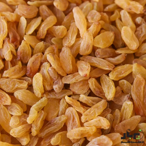 عکس کشمش طلایی