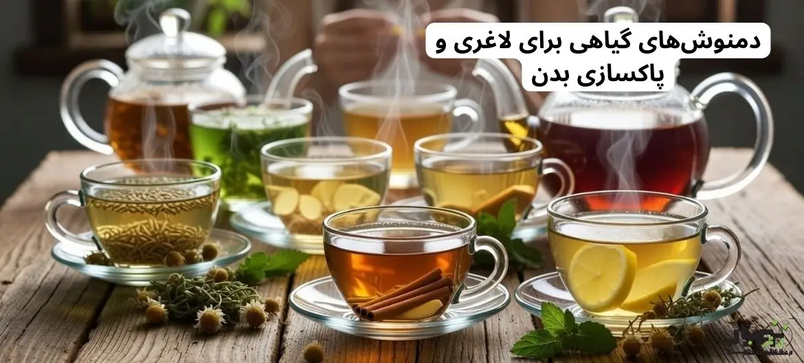 دمنوش‌ های گیاهی برای لاغری و پاکسازی بدن