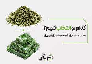 مقایسه سبزی خشک و سبزی فریزری: کدام را انتخاب کنیم؟